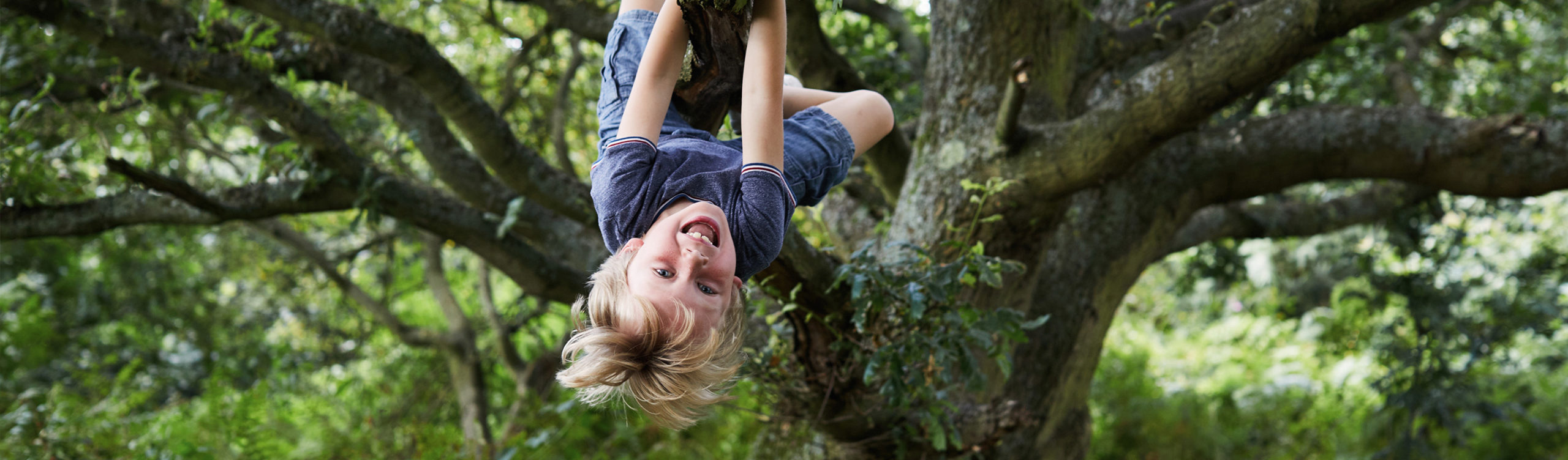 Young boy playing hanging upside down in tree
