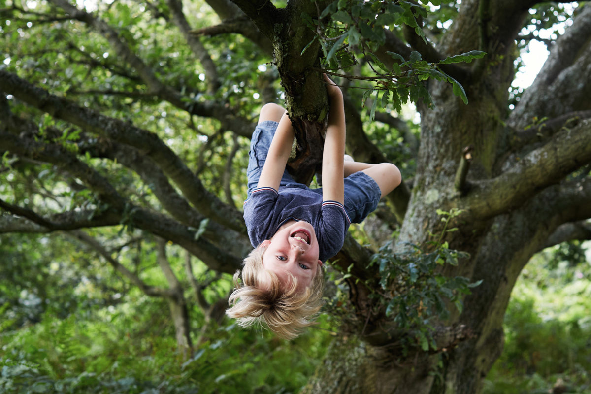 Young boy playing hanging upside down in tree