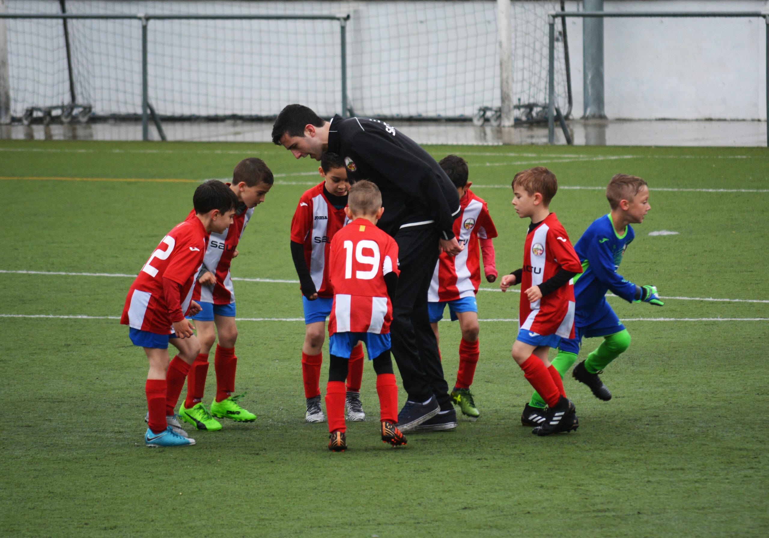 apply for working with children check sports soccer